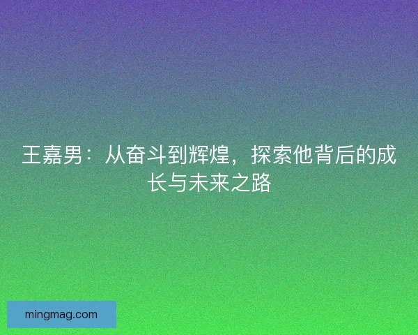 王嘉男：从奋斗到辉煌，探索他背后的成长与未来之路