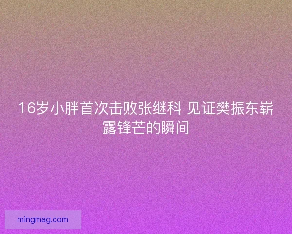 16岁小胖首次击败张继科 见证樊振东崭露锋芒的瞬间