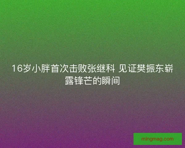 16岁小胖首次击败张继科 见证樊振东崭露锋芒的瞬间
