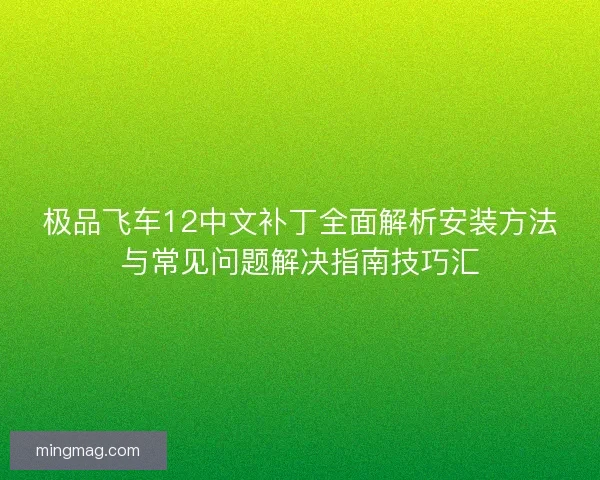 极品飞车12中文补丁全面解析安装方法与常见问题解决指南技巧汇
