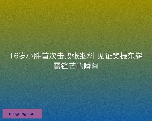 16岁小胖首次击败张继科 见证樊振东崭露锋芒的瞬间