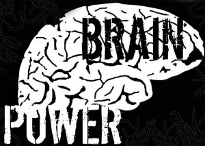'Brain Power' overlaid over a brain.